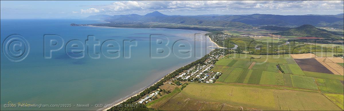 Peter Bellingham Photography Newell - QLD (PBH4 00 14187)